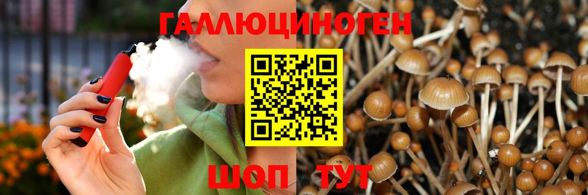 Псилоцибиновые грибы мицелий Орск